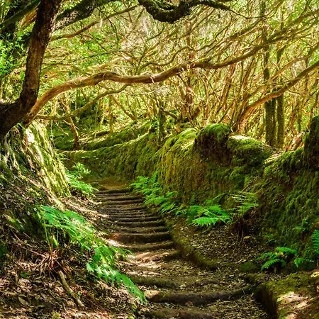 907 Estudio Con Terraza Martianez Apartamento Puerto de la Cruz (Tenerife)