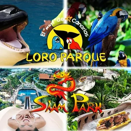 907 Estudio Con Terraza Martianez Apartamento Puerto de la Cruz (Tenerife)