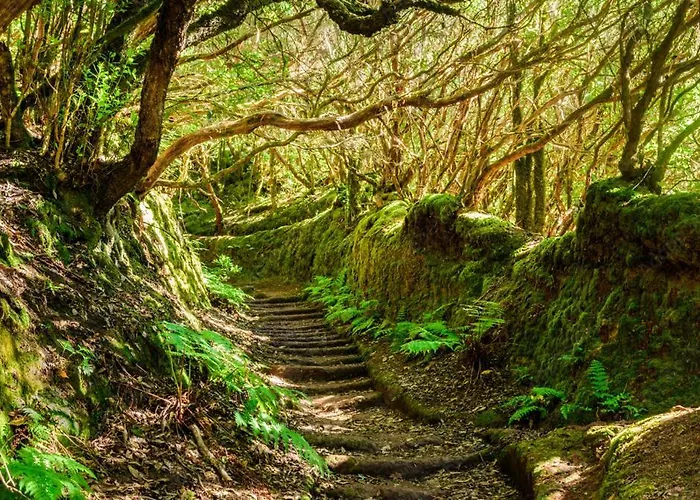 907 Estudio Con Terraza Martianez Apartamento Puerto de la Cruz (Tenerife)