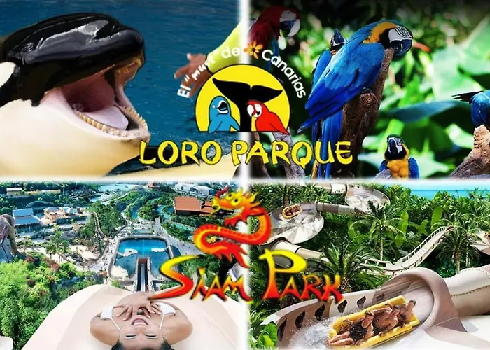 907 Estudio Con Terraza Martianez Apartamento Puerto de la Cruz (Tenerife)