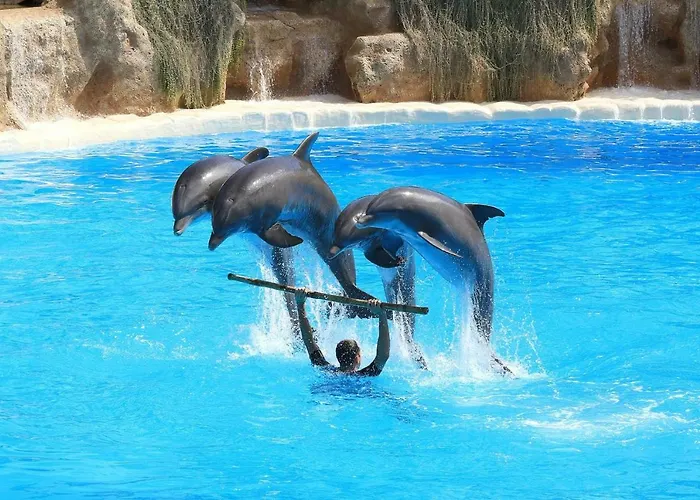 907 Estudio Con Terraza Martianez Apartamento